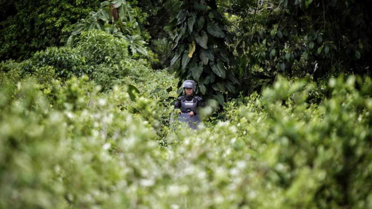 “Fracaso del Gobierno Petro”: gobernador de Antioquia y alcalde de Medellín tras descertificación
