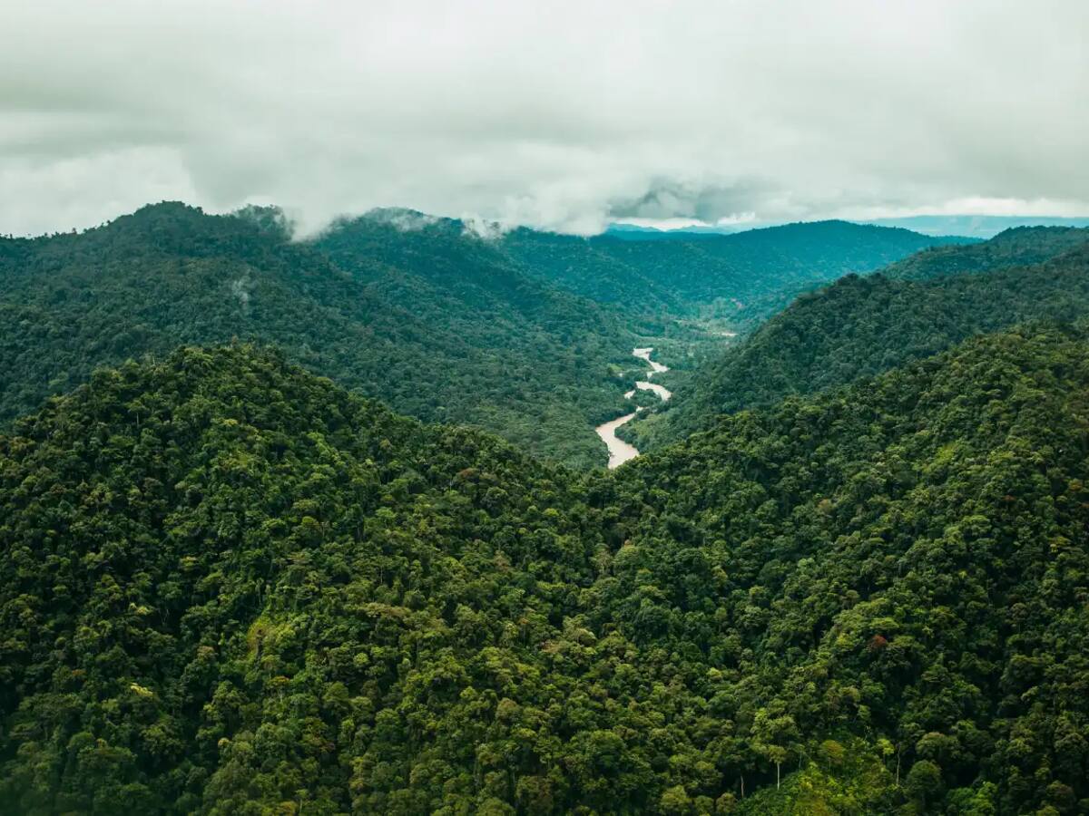61 comunidades fueron vinculadas a la protección de ecosistemas estratégicos en Antioquia este 2025