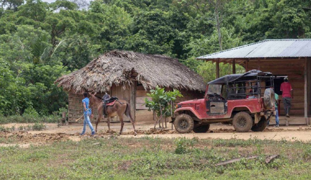 Actualmente, la ART ejecuta un proyecto de intervención para el fortalecimiento de ñame diamante y maíz tradicional