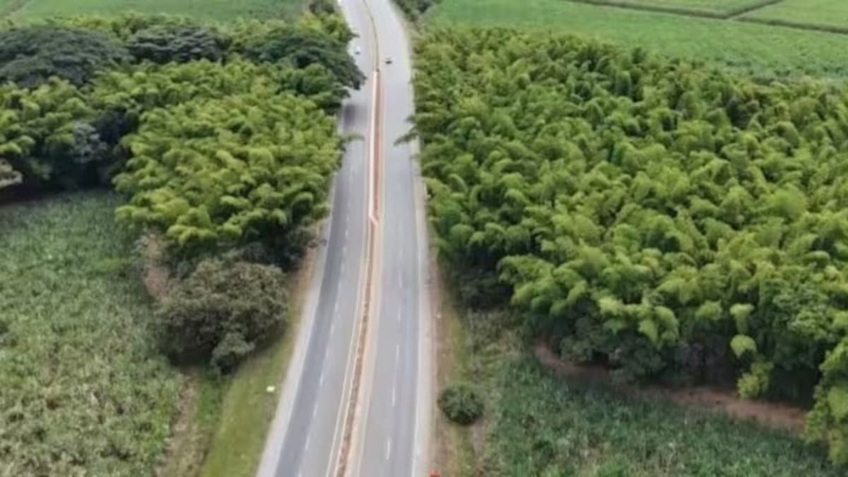 Exigen protección de la vía Panamericana en su totalidad en el Cauca