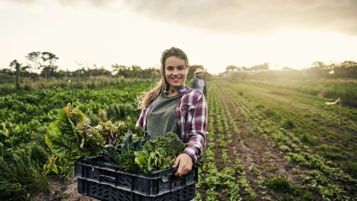 Seguros para el agro. ¿Si los compran los campesinos colombianos?
