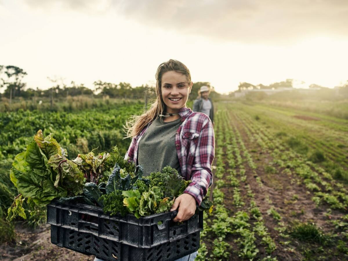 Están creciendo los seguros en el sector agropecuario: Fasecolda