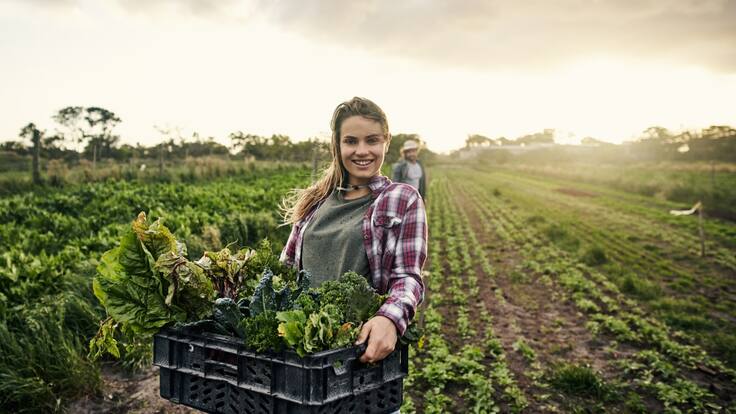 Seguros para el agro. ¿Si los compran los campesinos colombianos?