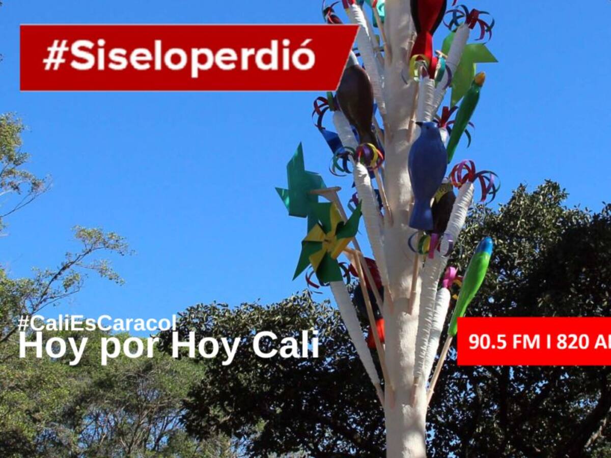 Cali Hoy por Hoy 26 de junio del 2020
