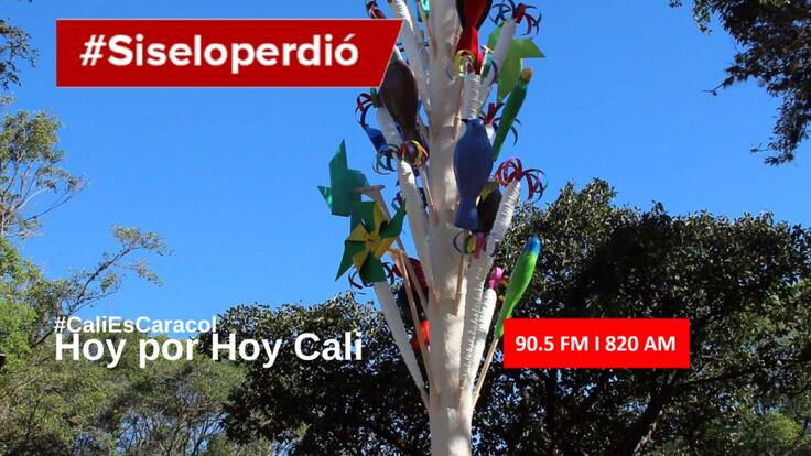 Cali Hoy por Hoy 26 de junio del 2020