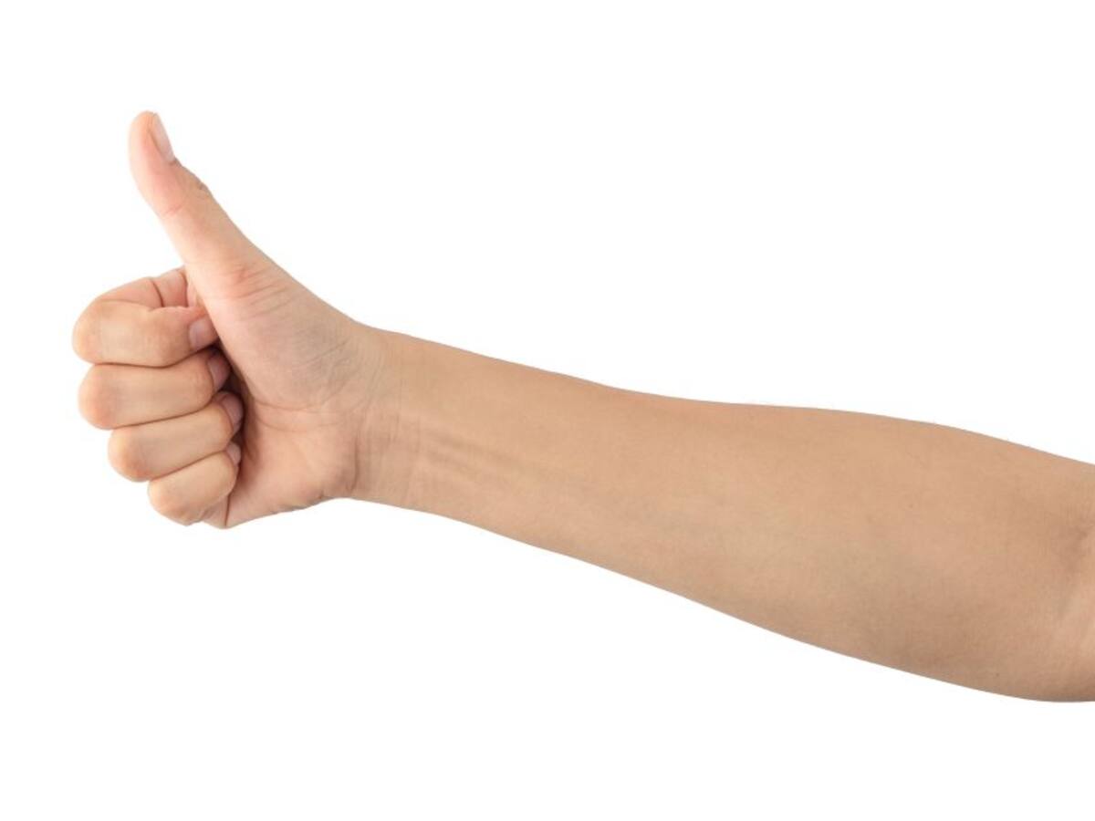 “Soy un hombre recto porque no soy torcido”: Uribe de La Luciérnaga