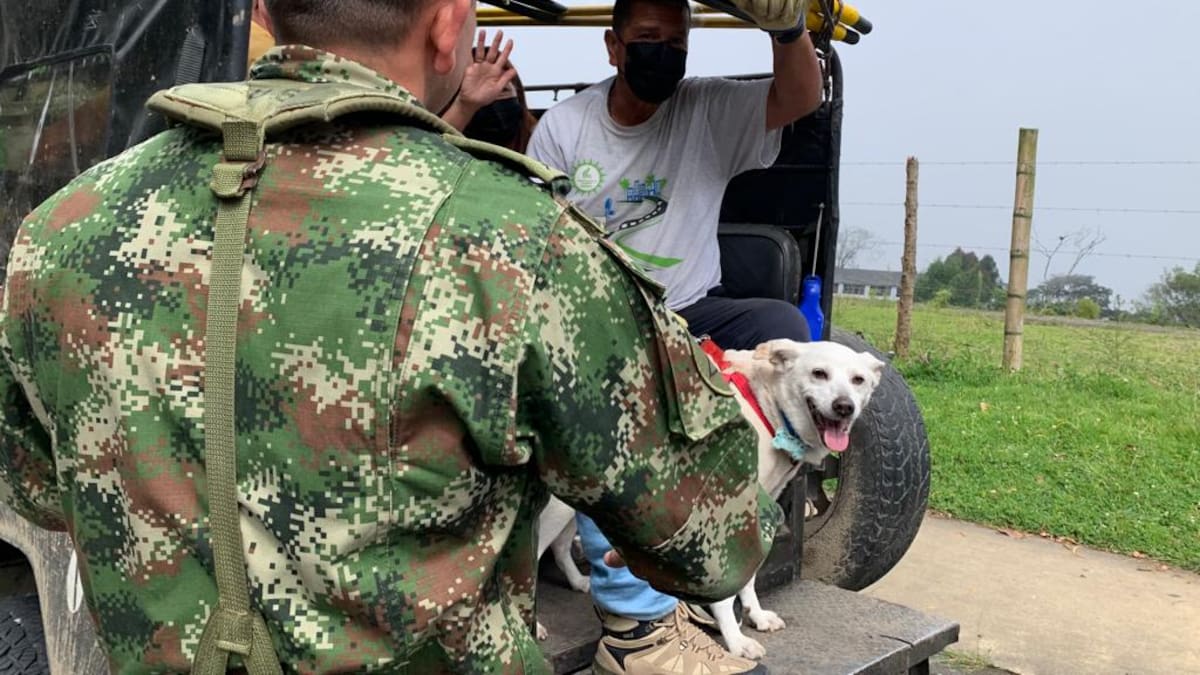 Cerca de 3000 unidades del Ejército custodian el Eje Cafetero en la semana de receso