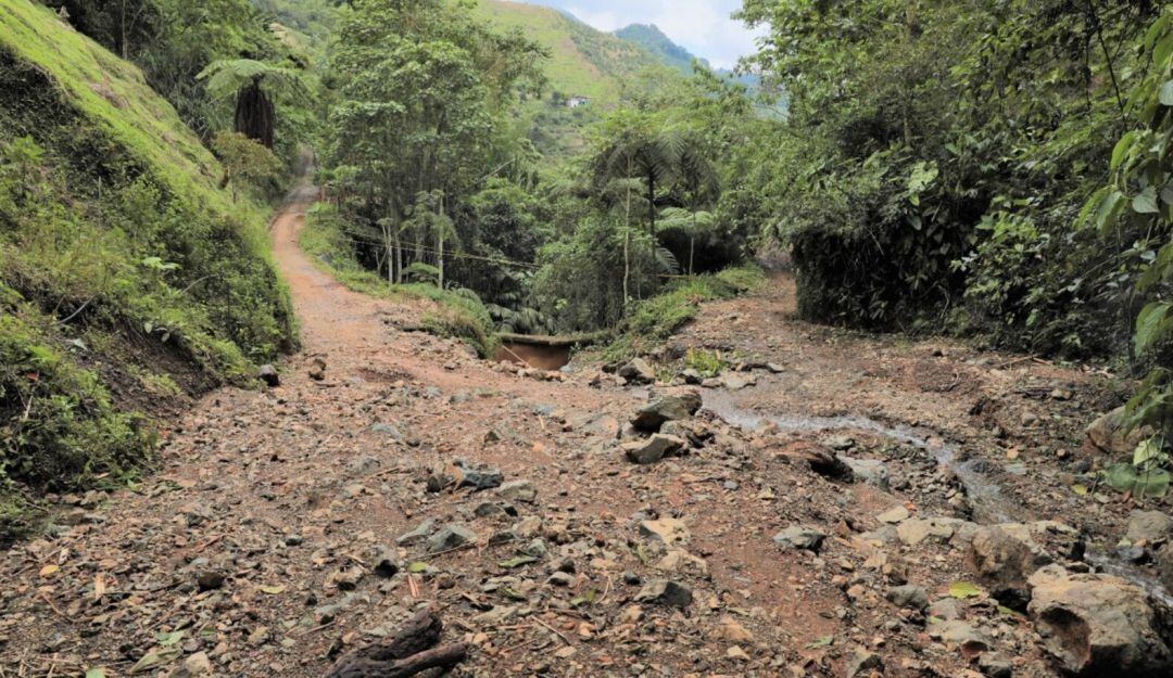 Vía El Chorriadero en Pereira.