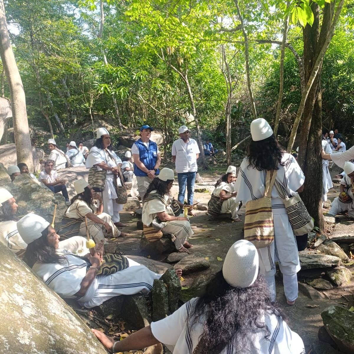 ICBF llega al territorio arhuaco de Gunmaku tras ataques en la Sierra Nevada