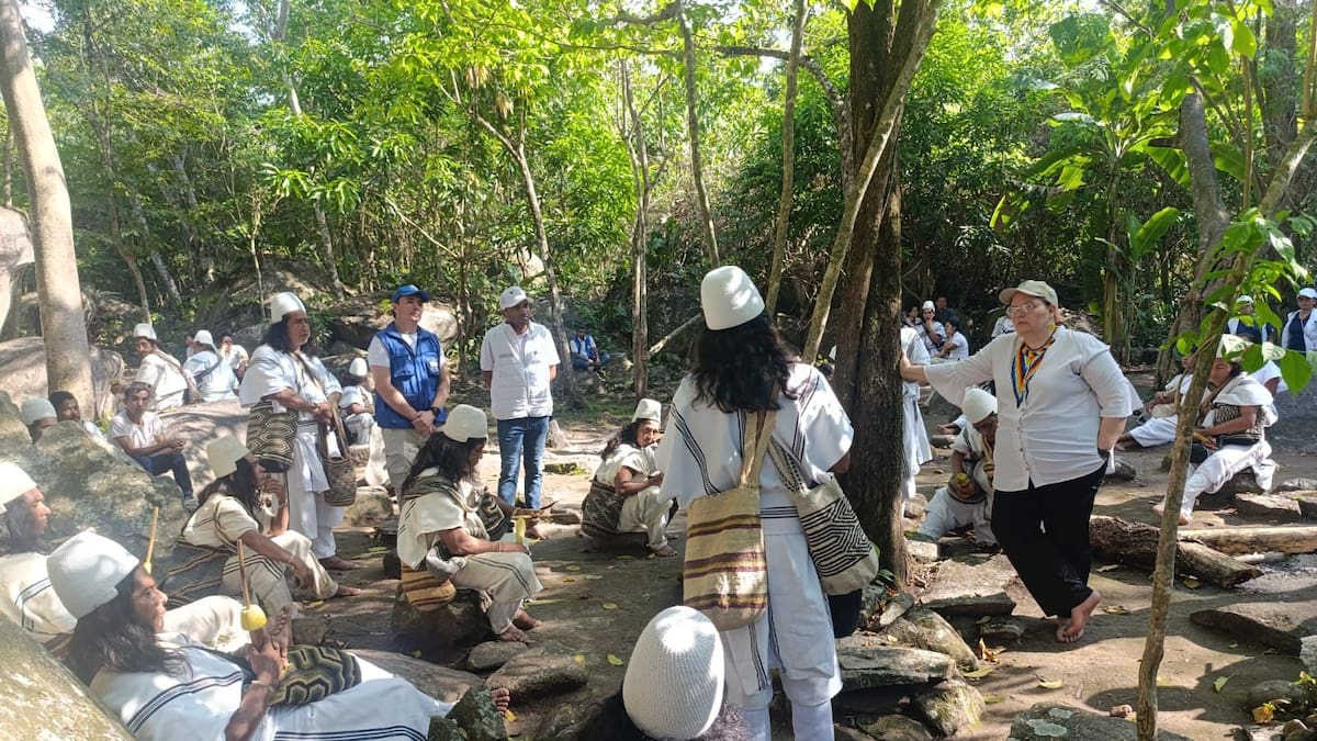 ICBF llega al territorio arhuaco de Gunmaku tras ataques en la Sierra Nevada