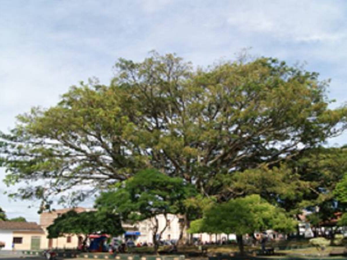 En el día de la mujer autoridades presentan a hombre que dió muerte a anciana de 64 años