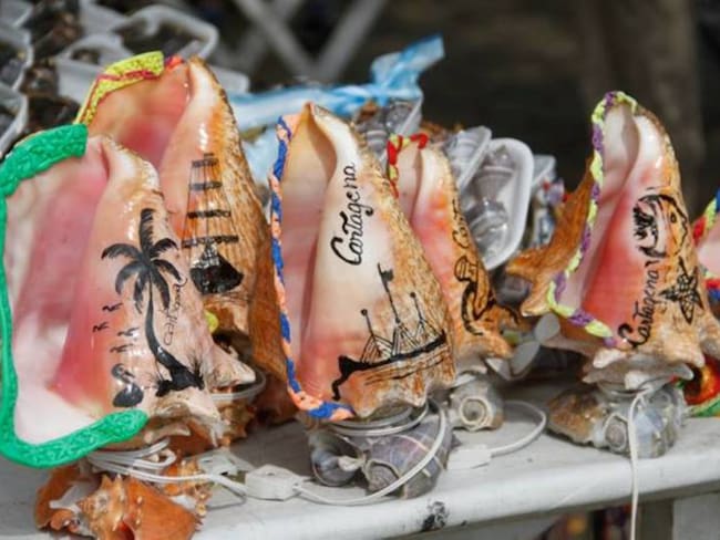 Incautan más de 200 piezas de corales en Cartagena