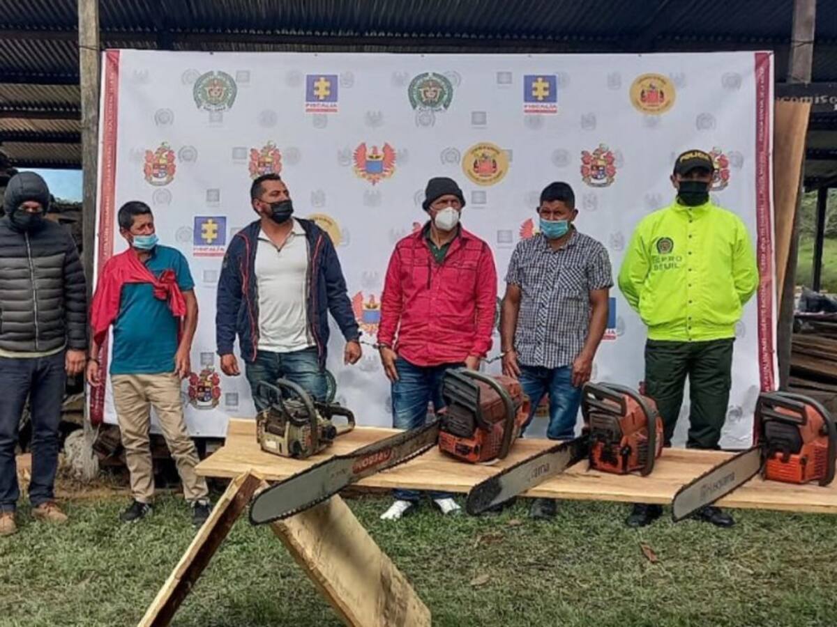 Cinco hombres capturados por talar los bosques en el Huila