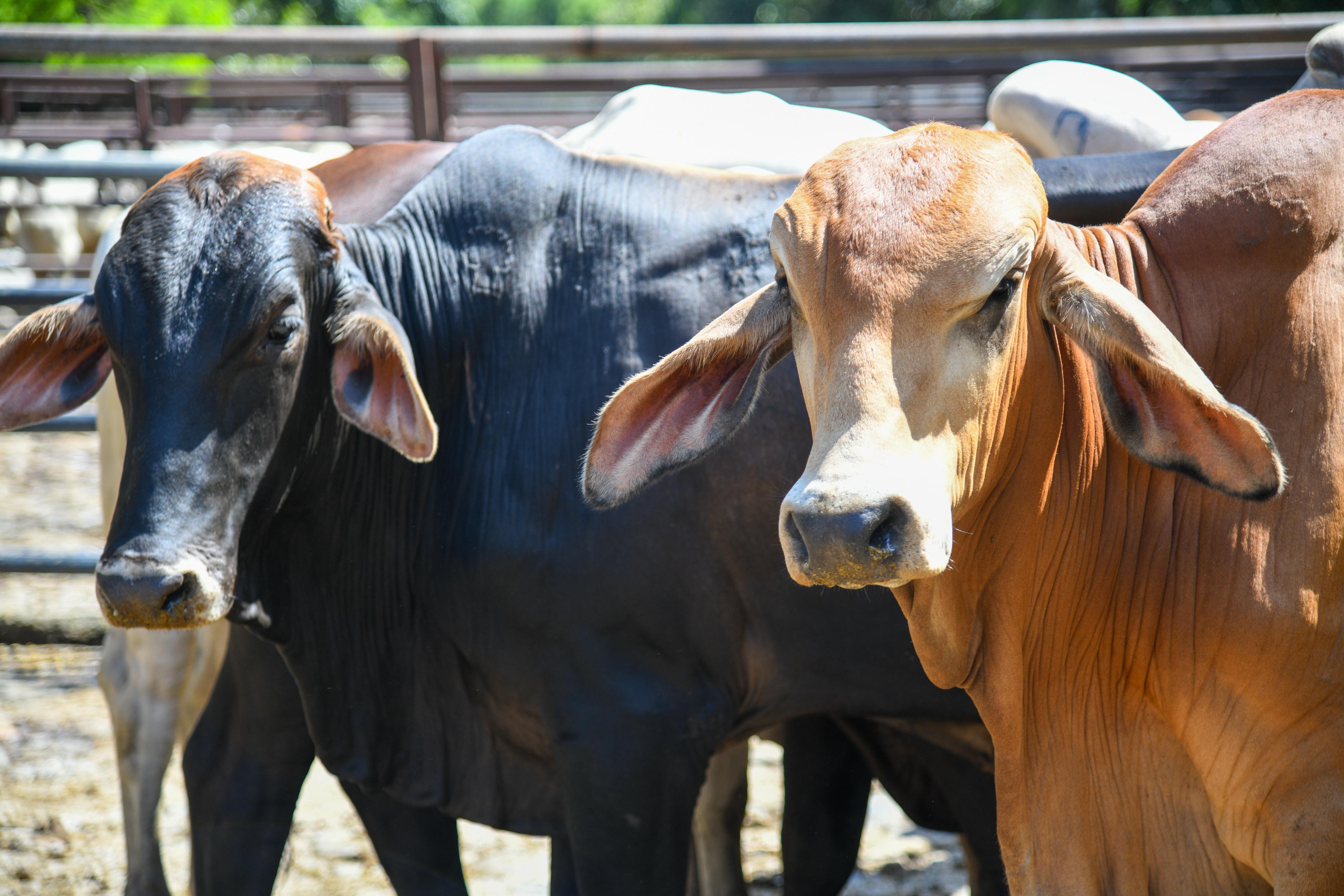 Foto: Gobernación de Antioquia.