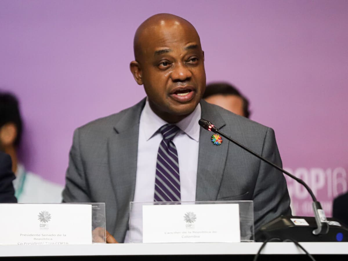 Murillo asegura que su gestión como canciller impulsó el regreso de Colombia al Consejo de Seguridad