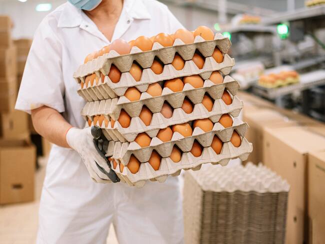 Producción de huevos en Colombia. Imagen de referencia. Foto: Getty Images.