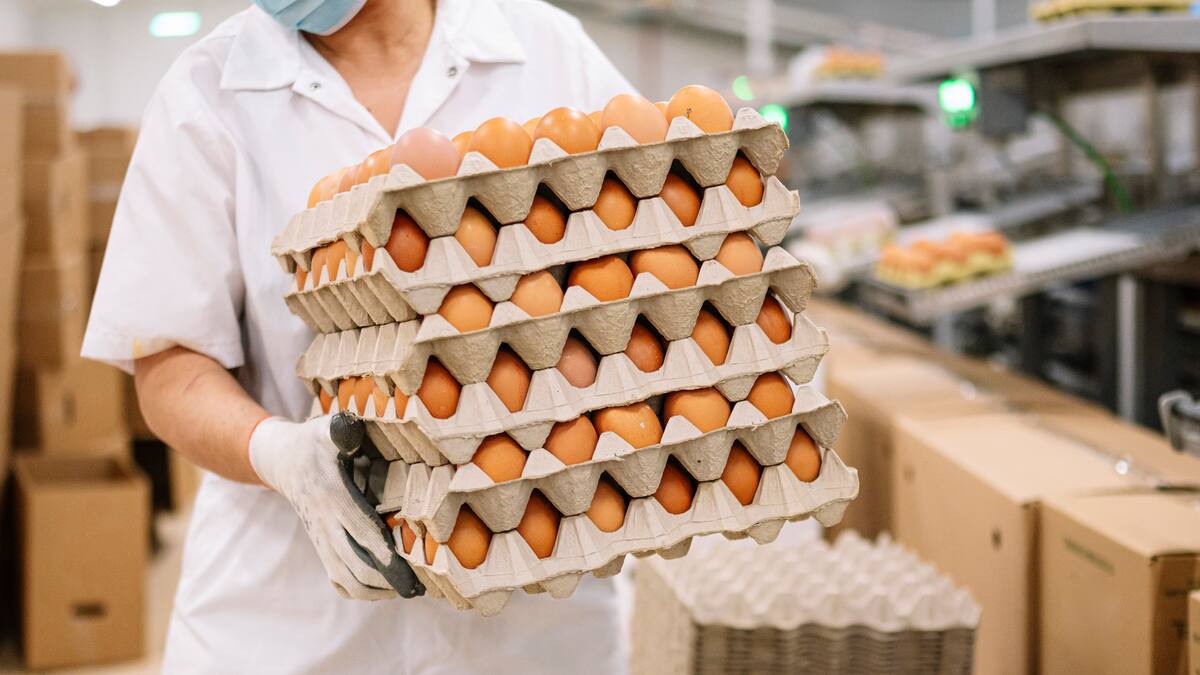 ¿Por qué está bajando de precio el huevo en Colombia? Esto dijo Fenavi