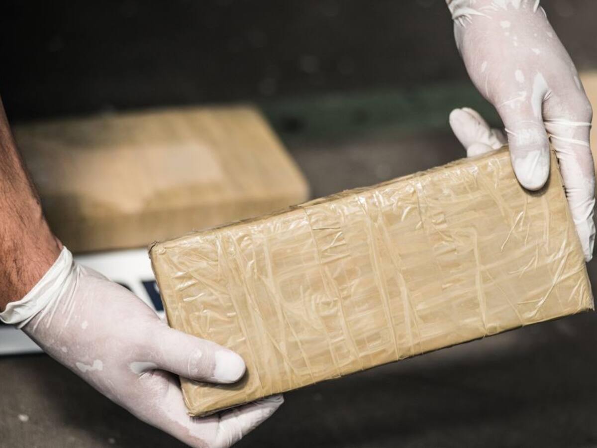 Destruyen laboratorios para procesar coca en Nariño