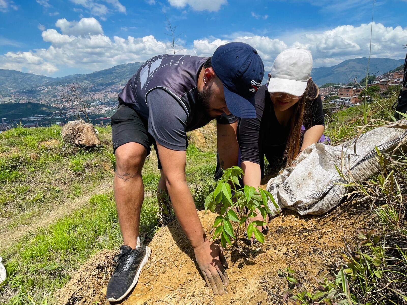 Siembra de árboles en el Bosque de Héroes de Medellín. Foto: Alcaldía de Medellín