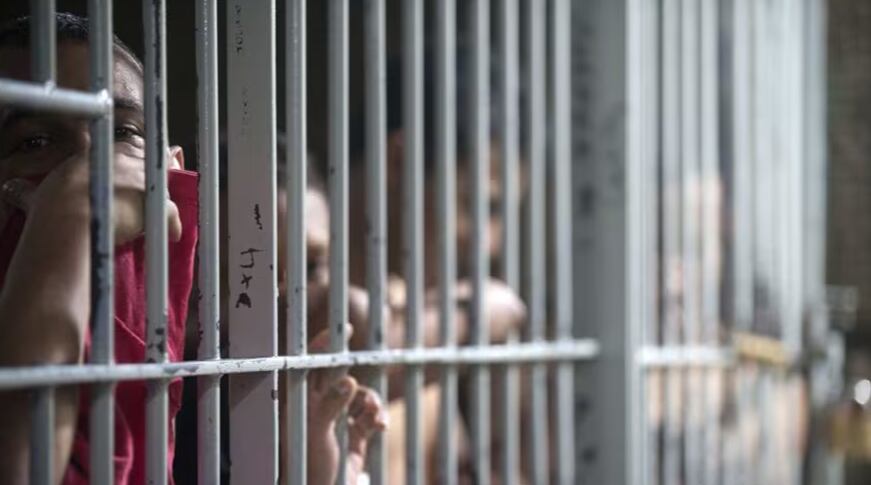 Foto: Colprensa(Thot)