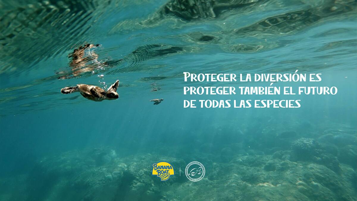 Banana Boat crea los Nest Domes, una iniciativa de preservación de tortugas marinas