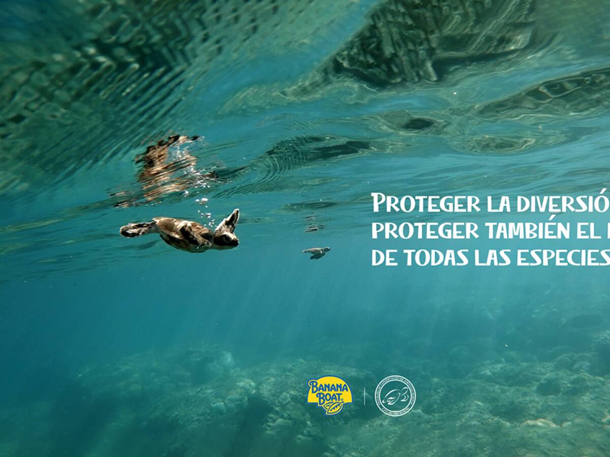 Banana Boat crea los Nest Domes, una iniciativa de preservación de tortugas marinas