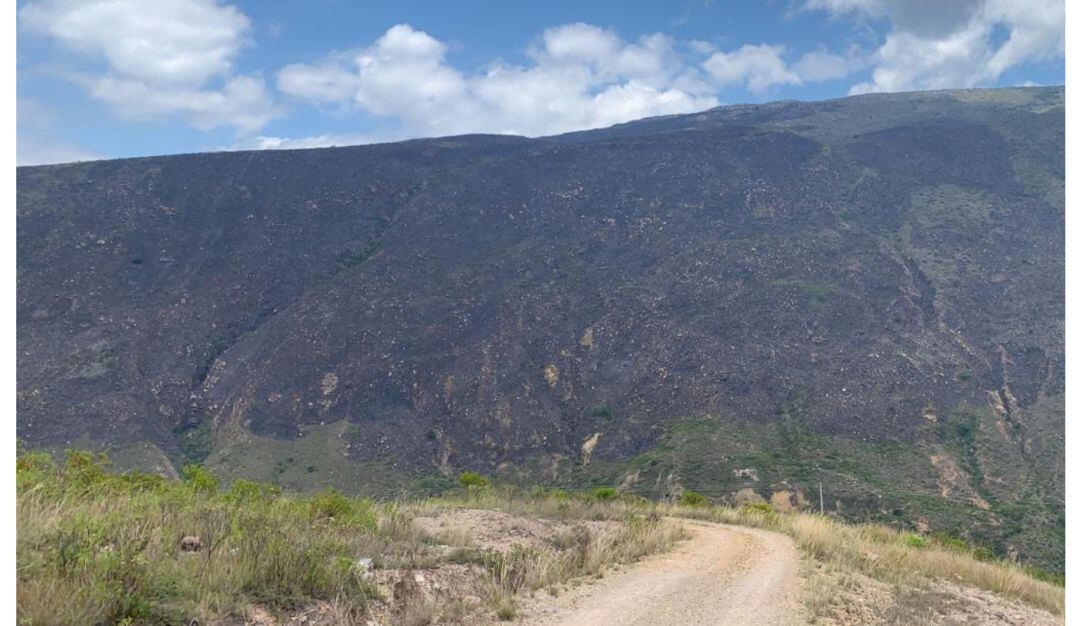 Controlan incendio forestal. 