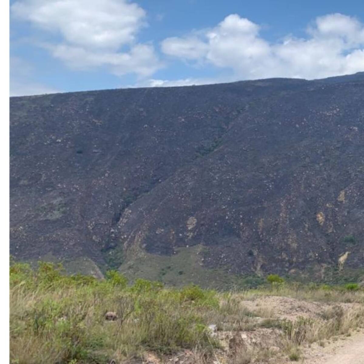 Incendio en Boyacá afectó al menos 150 hectáreas de zona vegetal