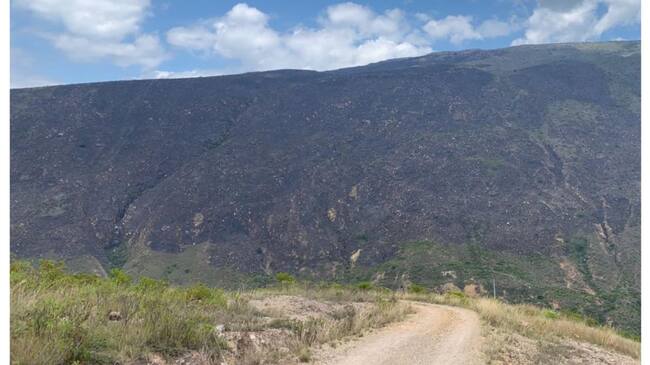 Controlan incendio forestal.