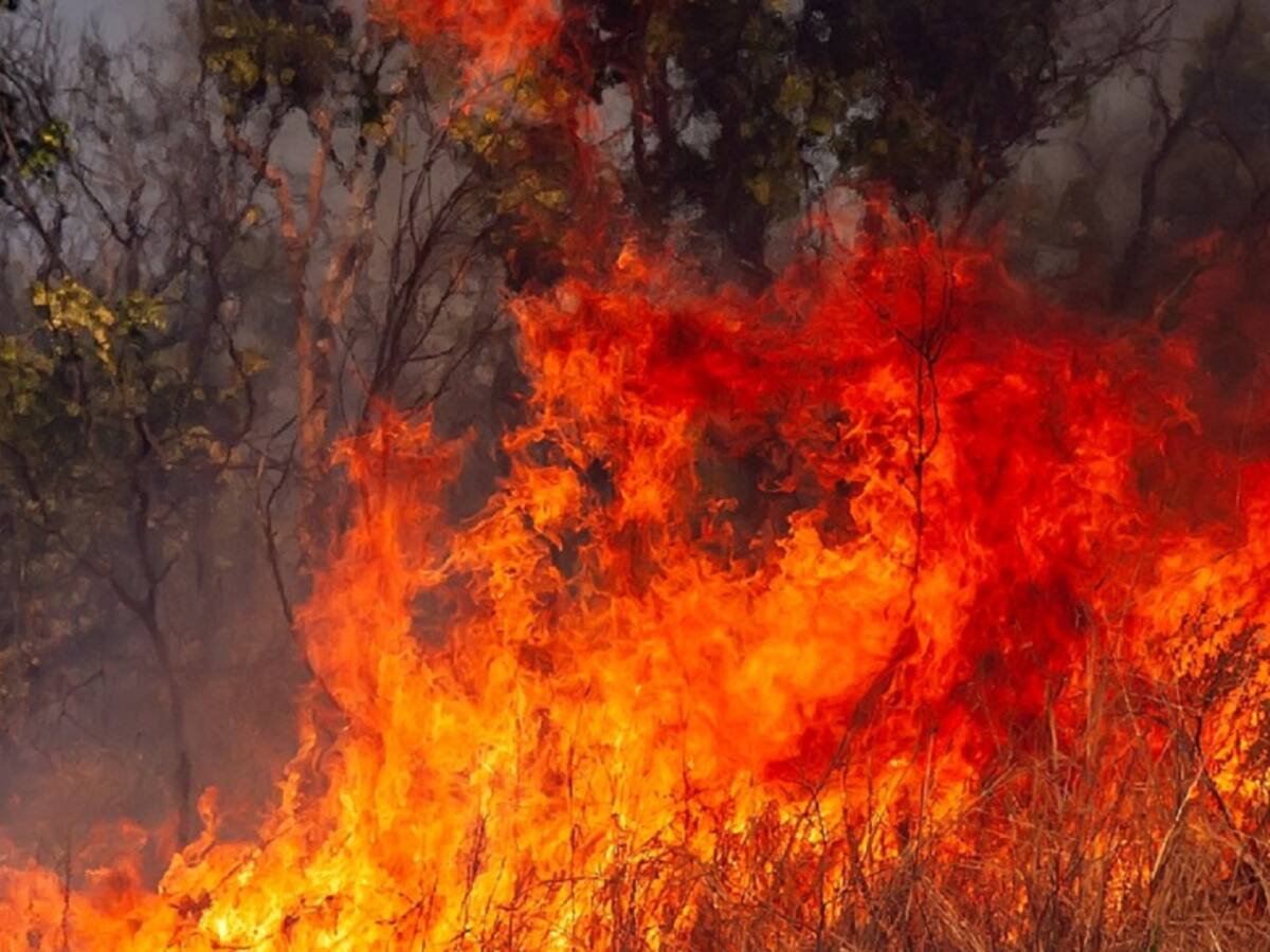 Incendio consume zona rural de El Carmen