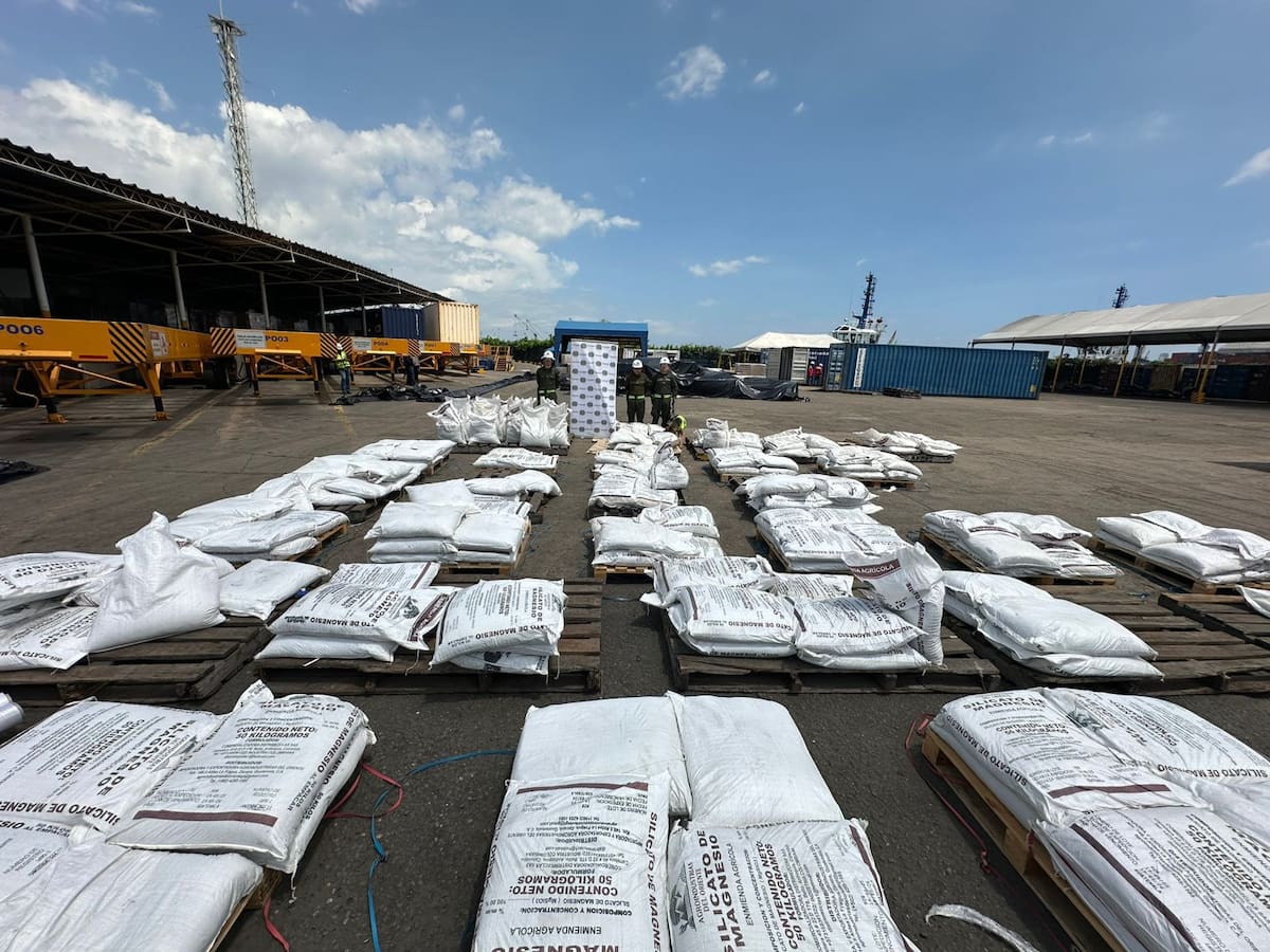 Incautaron más de cinco toneladas de clorhidrato de cocaína en el Puerto de Cartagena