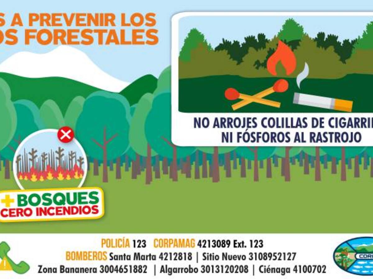 Autoridades del Magdalena previenen los incendios forestales