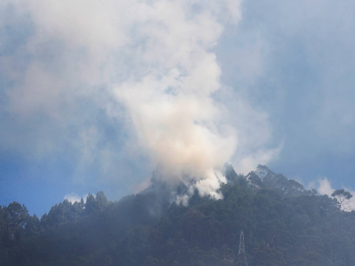 “Incendio en cerros orientales sigue activo y ha afectado 2,5 hectáreas”: alcalde Galán