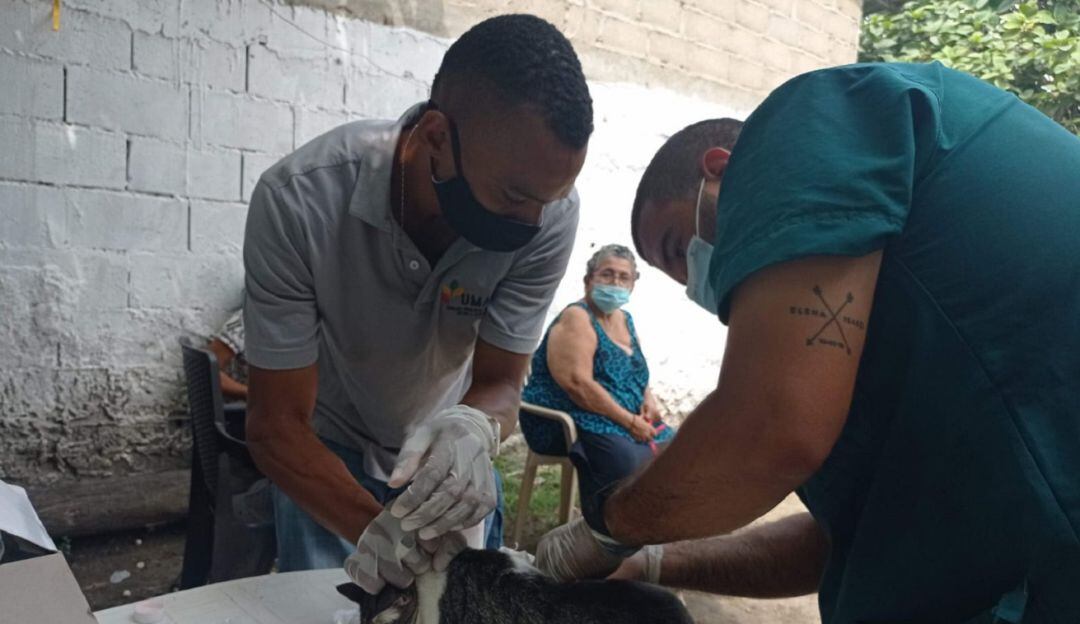 La invitación está abierta para organizaciones, fundaciones, asociaciones, líderes animalistas y comunidad en general