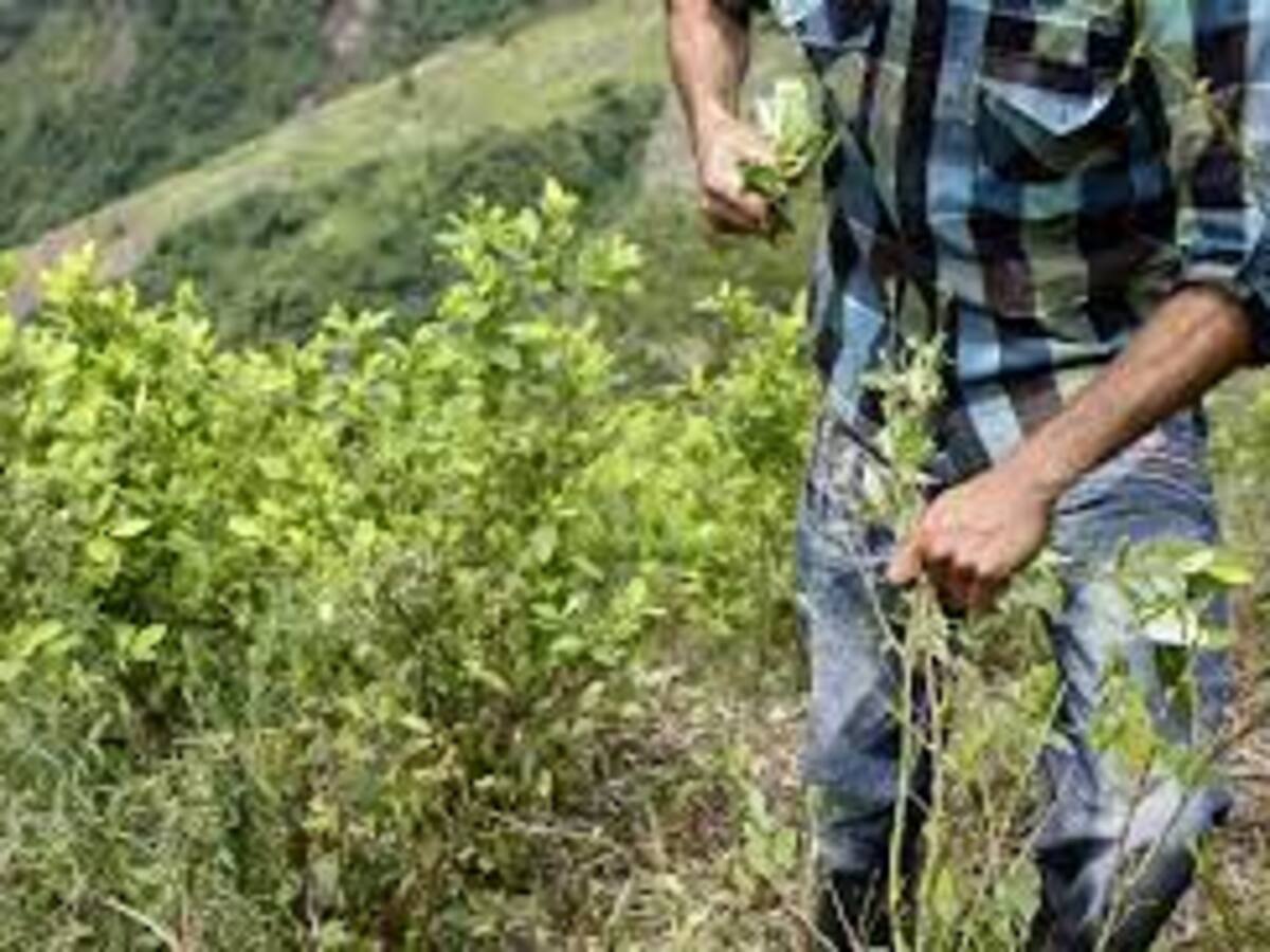 “Grupos armados buscan apropiarse del territorio en Caquetá y Putumayo” Indepaz