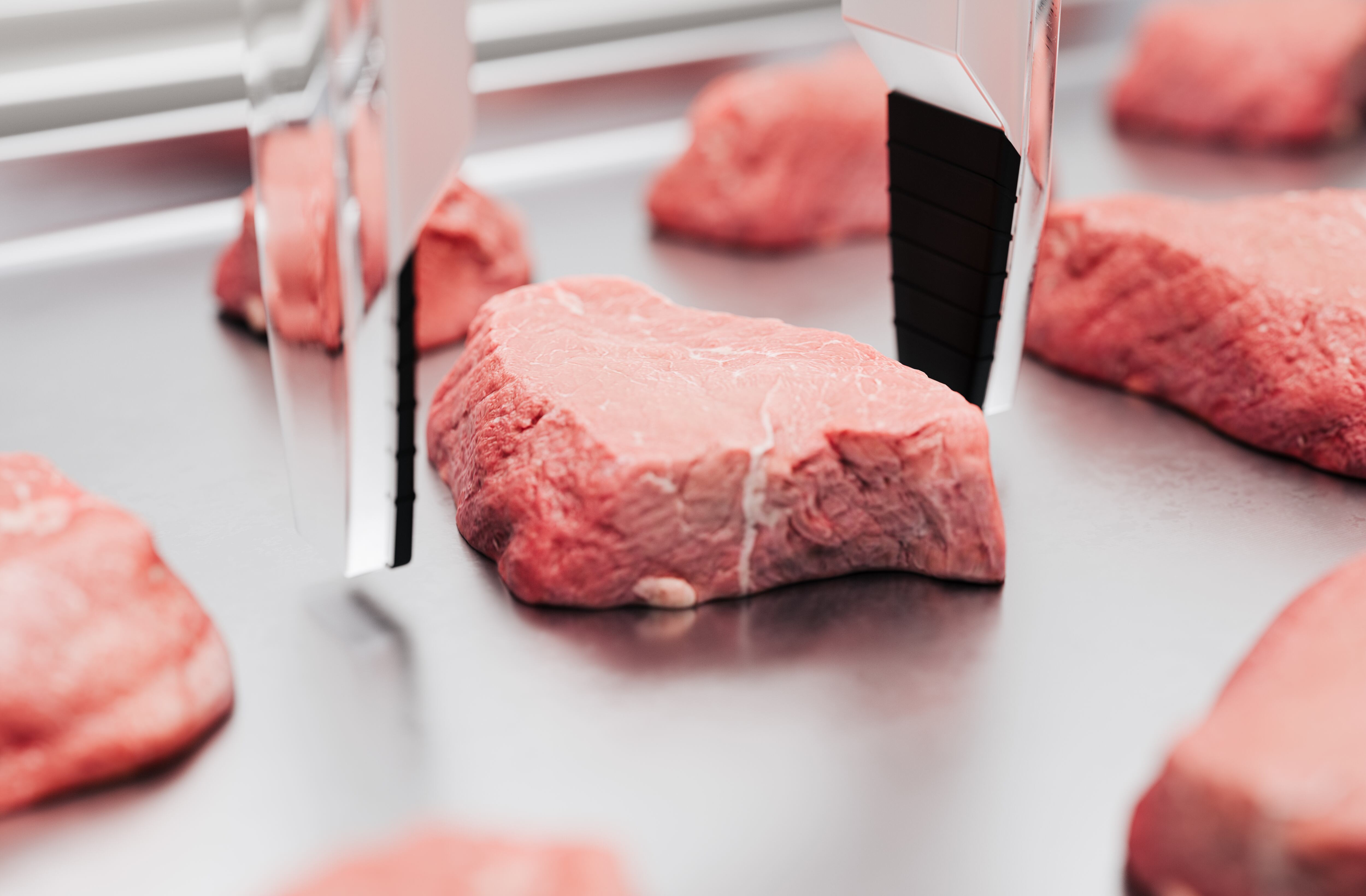 Carne cultivada en laboratorio, imagen de referencia (Getty Images).