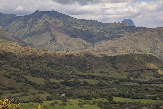 Foto/Colprensa.