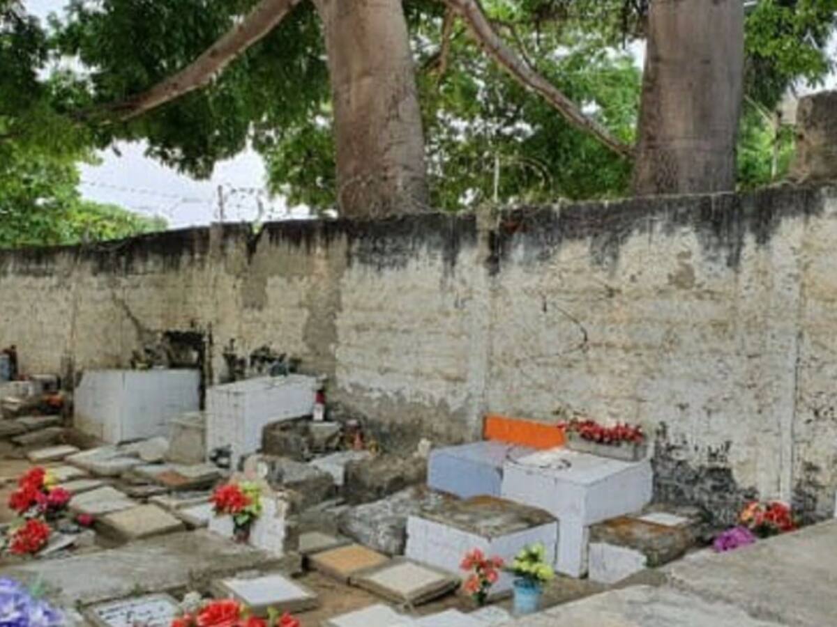 Cementerios públicos de Cartagena serán intervenidos