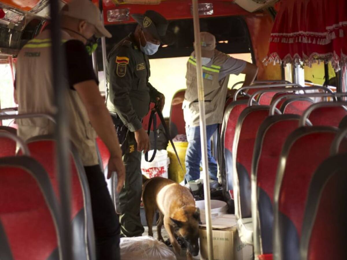 Operativos contra el tráfico de fauna silvestre en Cartagena