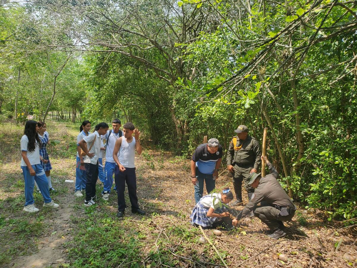 Día Mundial de la Protección de la Naturaleza: Carabineros siguen comprometidos con la causa