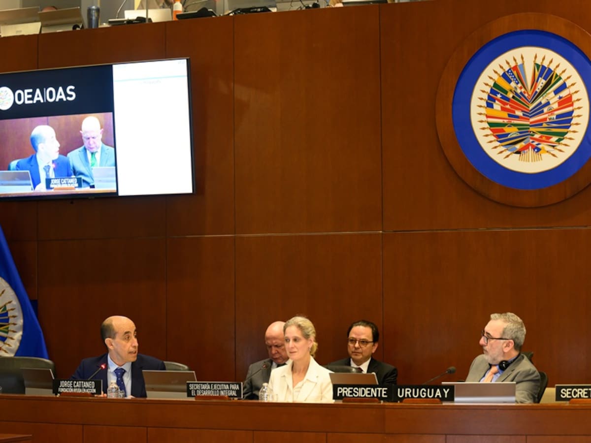 La OEA y Ayuda en Acción firman una alianza para impulsar el empleo juvenil en América Latina