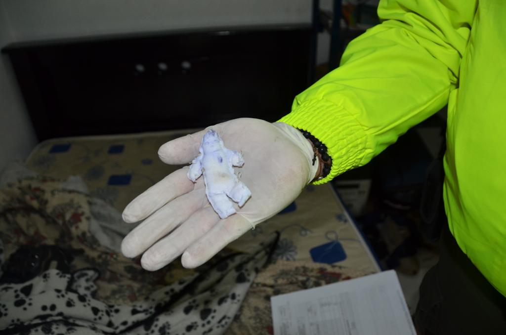 Desaparición de Maximiliano Tabares en Antioquia. Allanamiento a la casa de la abuela. Cortesía: suministrada.