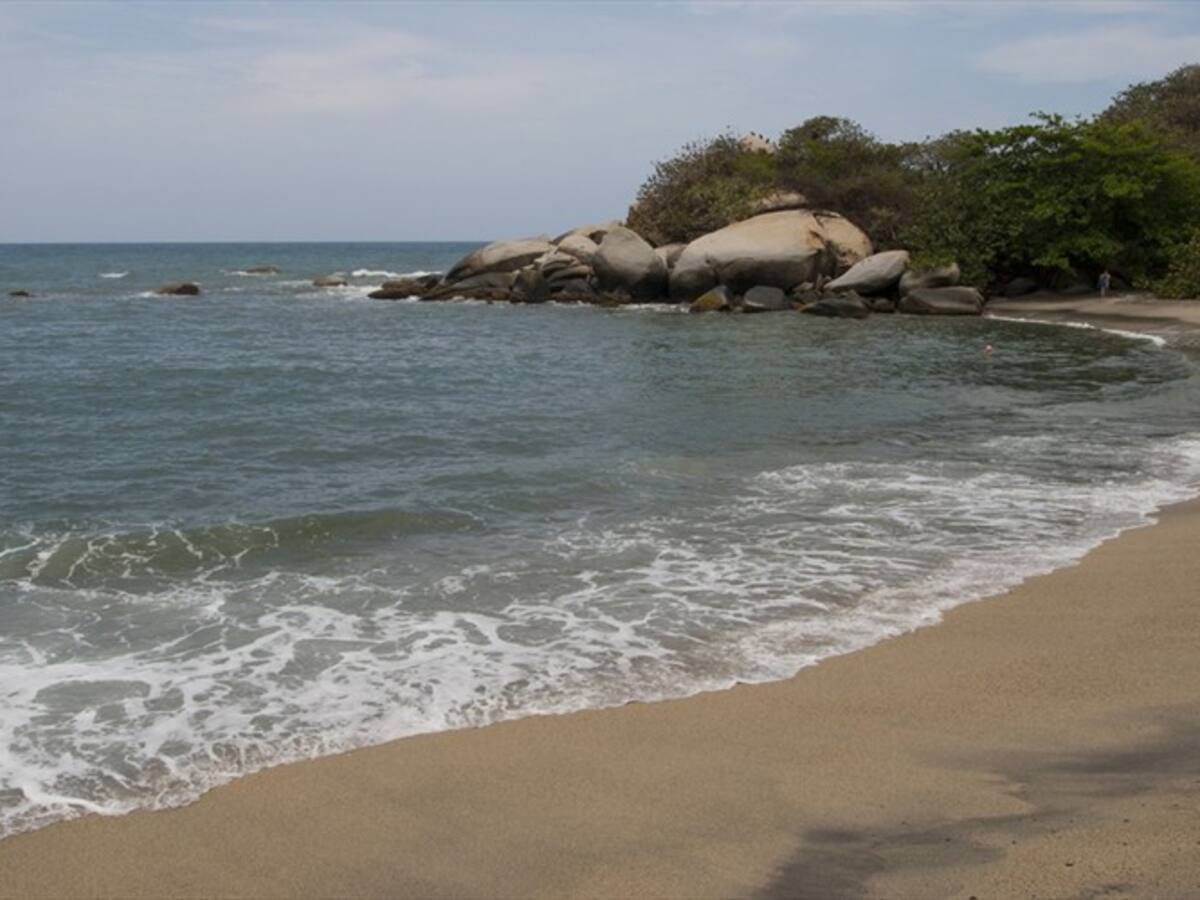 Viceministro de Agua explica cuál es el plan de contingencia que tienen para Santa Marta