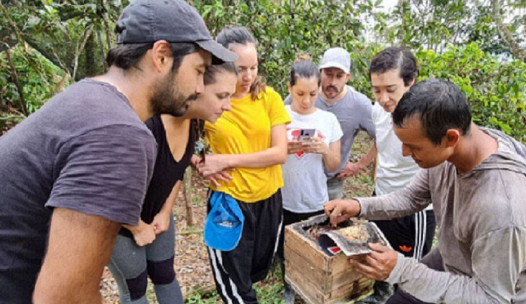Aprendiendo sobre las abejas meliponas. (Ellas contribuyen al proceso de polinización en tierras deforestadas). 