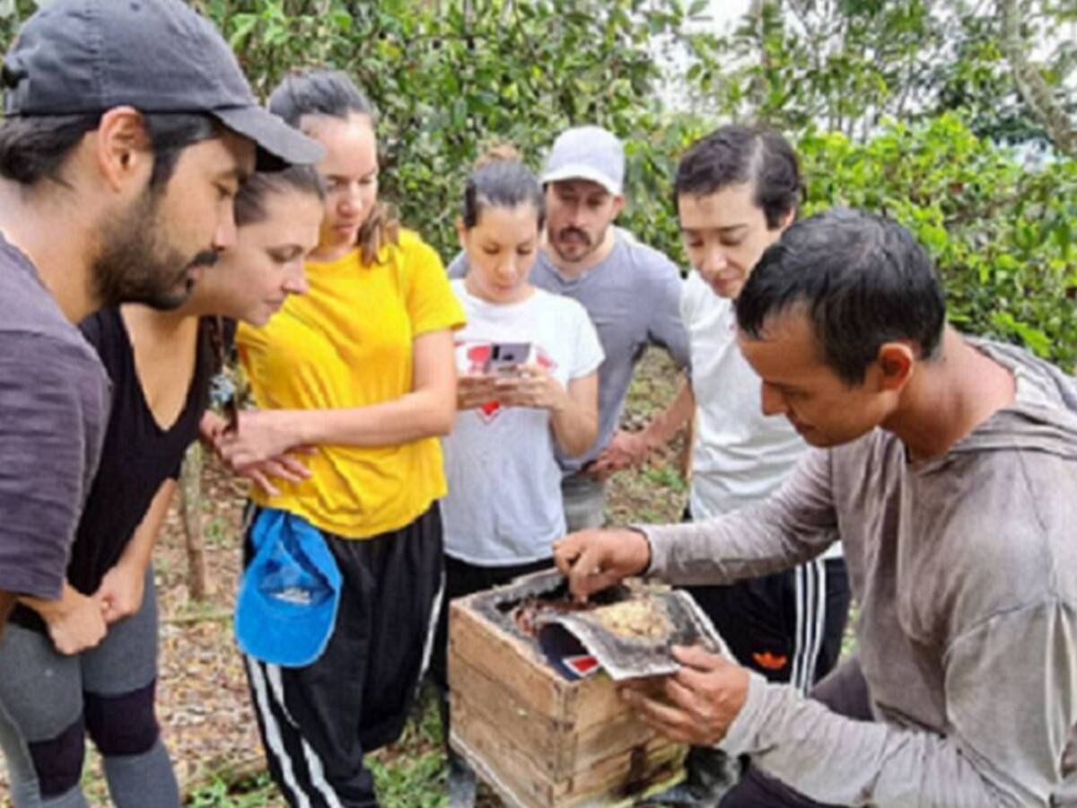 Turismo Regenerativo aportando al ecosistema y a las comunidades