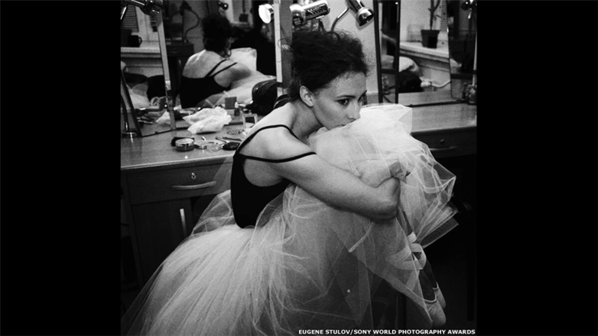 Esta foto de jirafas en un recinto del zoológico de Toronga en el puerto de Sídney fue tomada por Cory Kipa para la categoría Naturaleza y Vida silvestre.