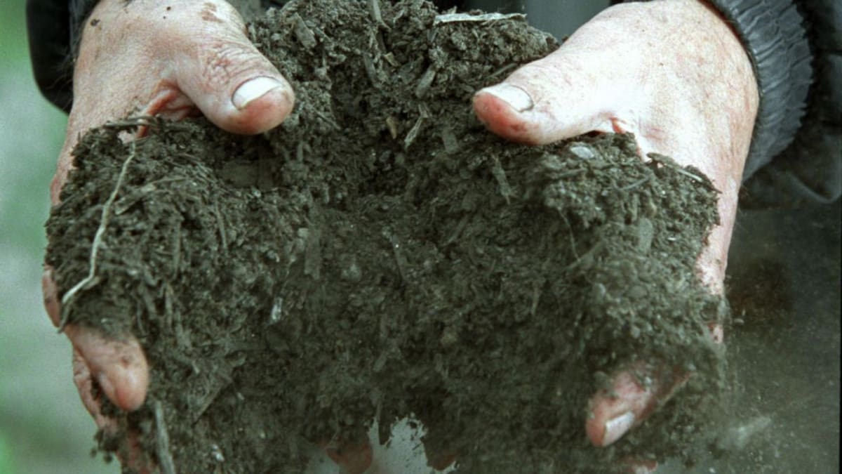 Buen manejo de residuos orgánicos genera utilidades y protege el planeta