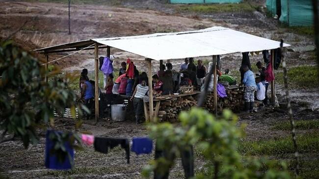 Gobierno contrata coordinación médica de las zonas veredales de las Farc. Foto: Colprensa