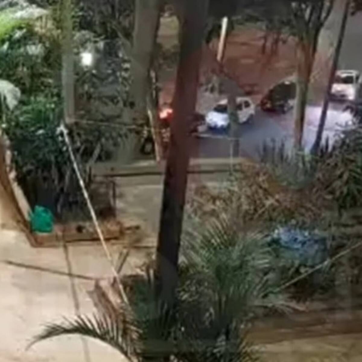 Menor de edad resultó vinculado en el homicidio ocurrido en el parque Los Leones