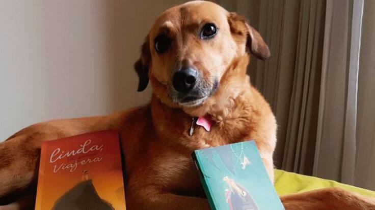 La primera escritora cuadrúpeda de Colombia